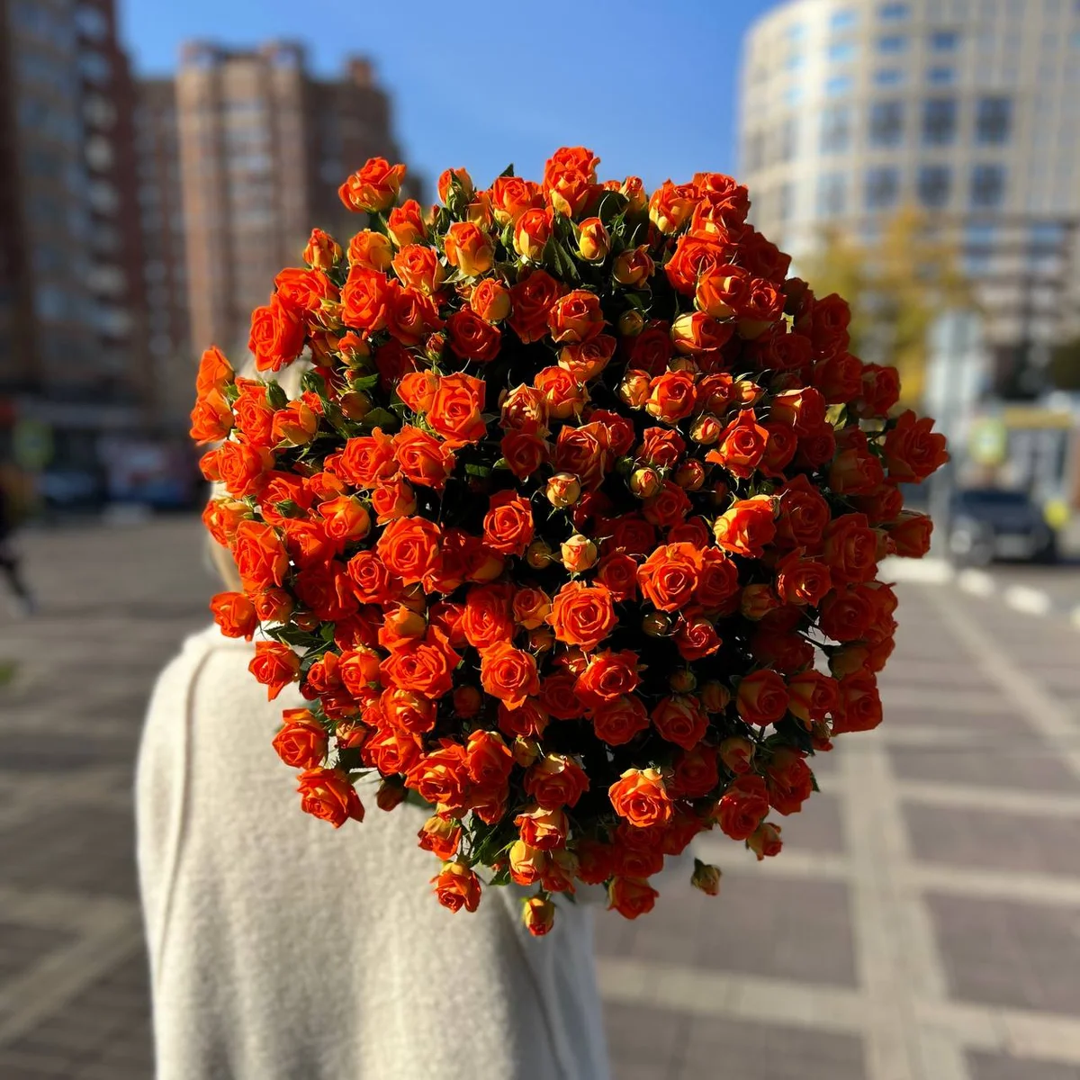Кустовая роза сорта «Kинг Бабблс» — фото 1